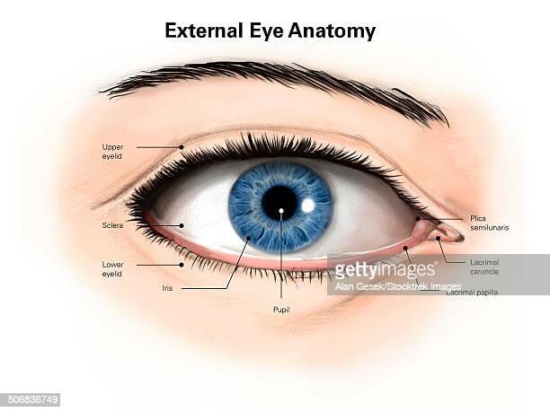 Remarkable internal styes- abscess on eyelid